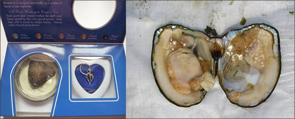 live oysters with pearls inside